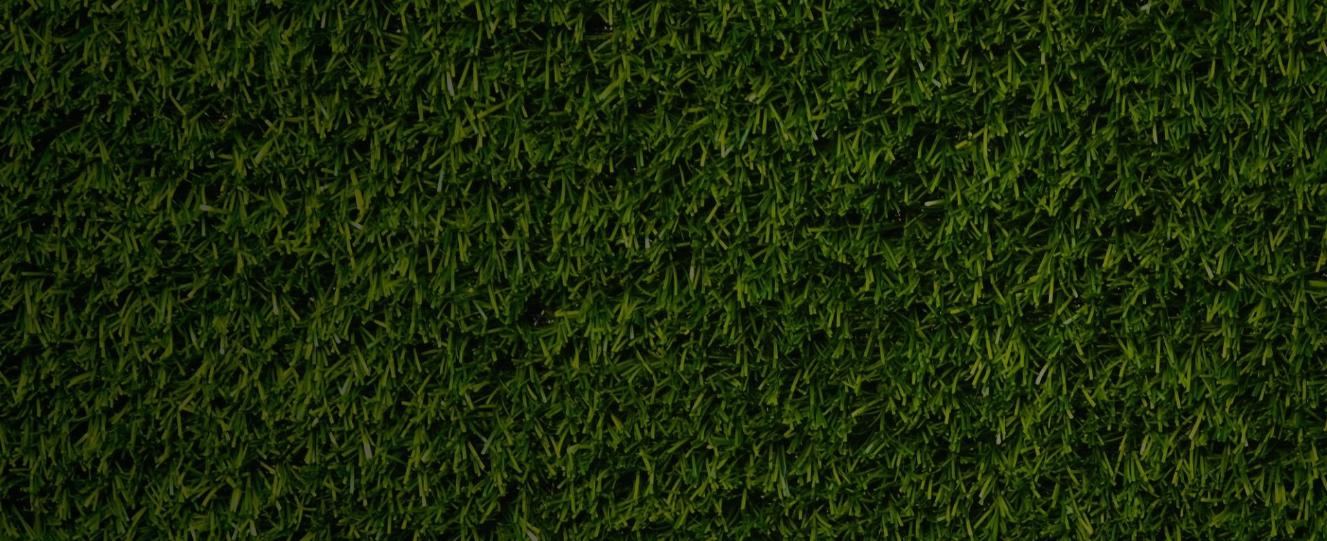 Green X Turf Artificial Grass