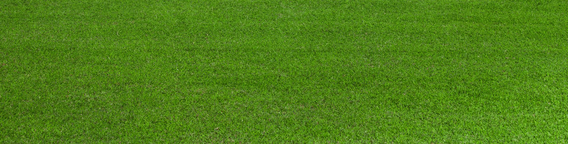 Green X Turf Artificial Grass