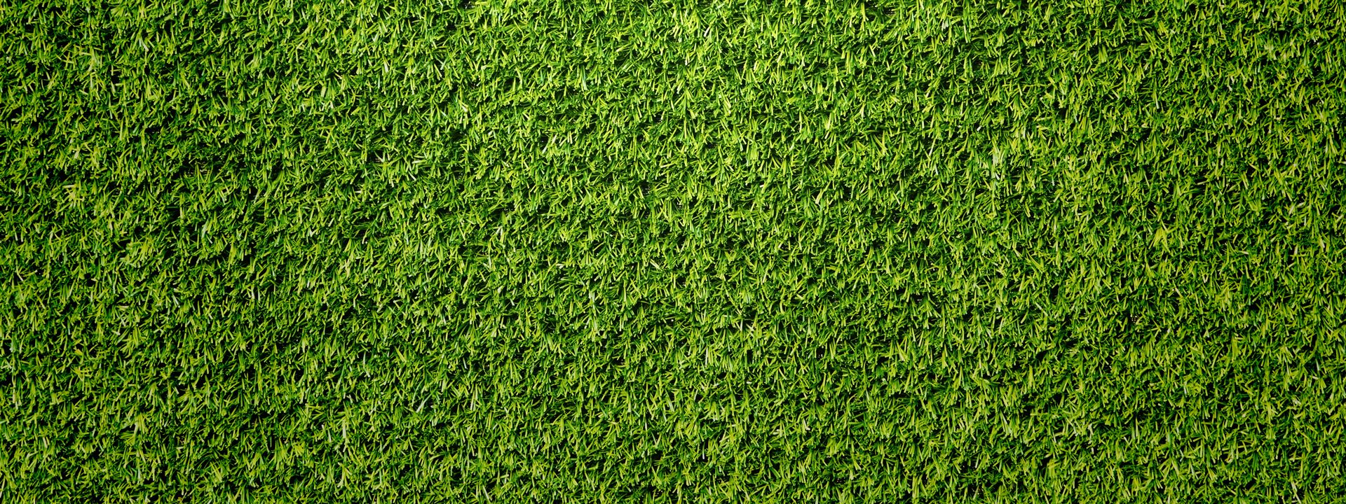 Green X Turf Artificial Grass