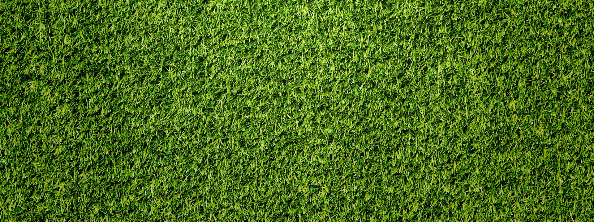 Green X Turf Artificial Grass