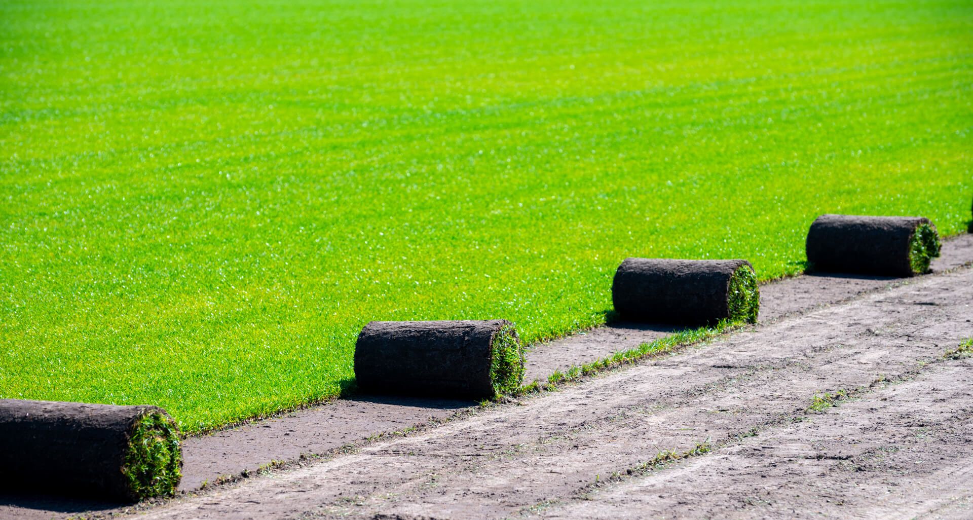 Green X Turf Artificial Grass